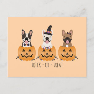 Trick Or Treat French Bulldogs Pumpkin Postcard
