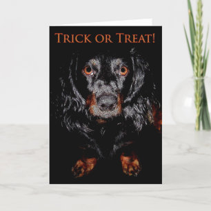 Trick or Treat Greeting Card