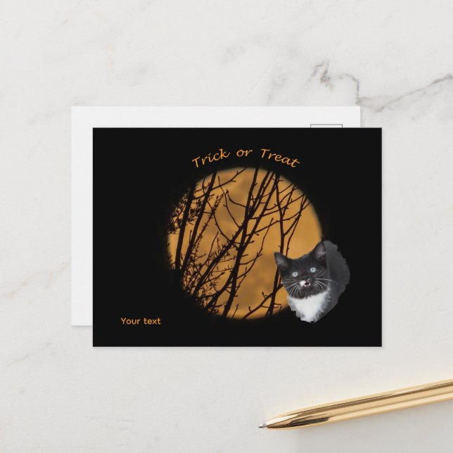 Trick or treat Halloween black cat & moon  Postcard (Front/Back In Situ)