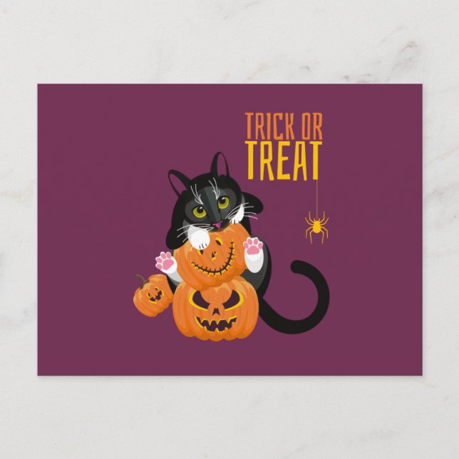 Trick or Treat halloween Cat fun Postcard (Front)