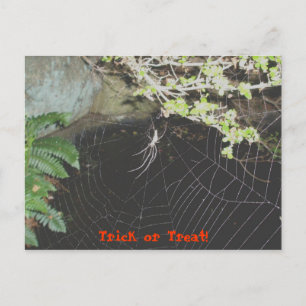 Trick or Treat! Halloween Postcard