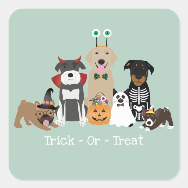 Trick Or Treat Happy Halloween Spooky Pet Costumes Square Sticker (Front)