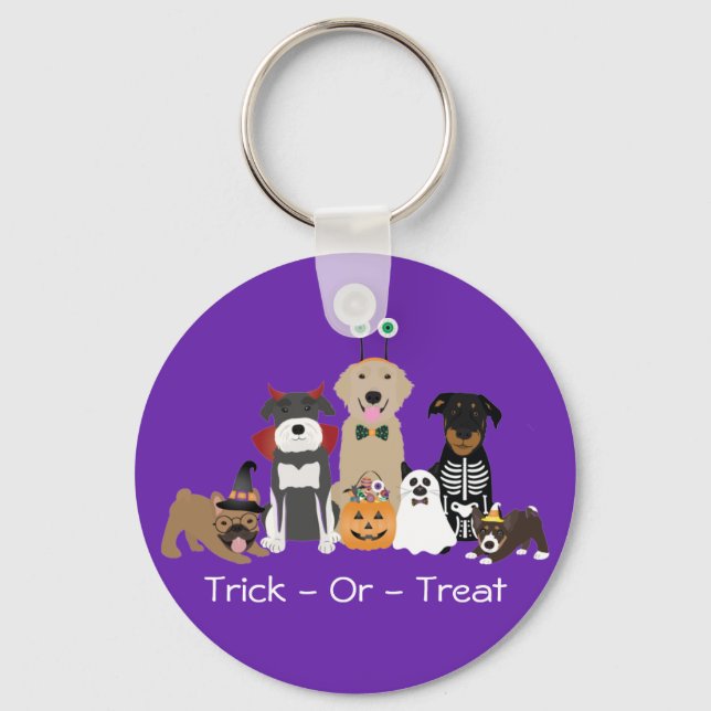Trick Or Treat Pets Halloween Costumes Keychain (Front)