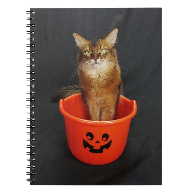 Trick or Treat Somali Cat Notebook (Front)