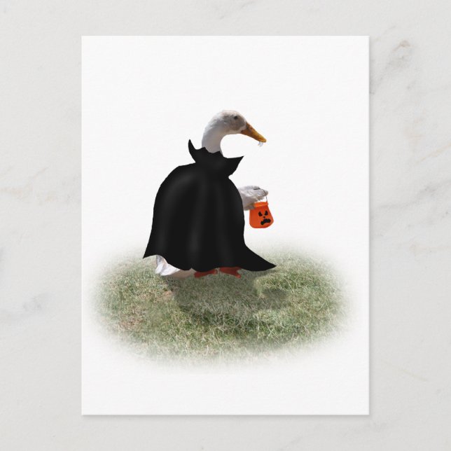 Trick or Treat Time for Dracula Duck Postcard (Front)