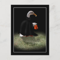 Trick or Treat Time for Dracula Duck