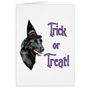 Trick Retriever à revêtement plat