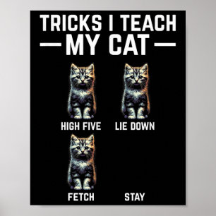 Tricks I Teach My Cat - Funny Cat Owner Kitten Dad Poster