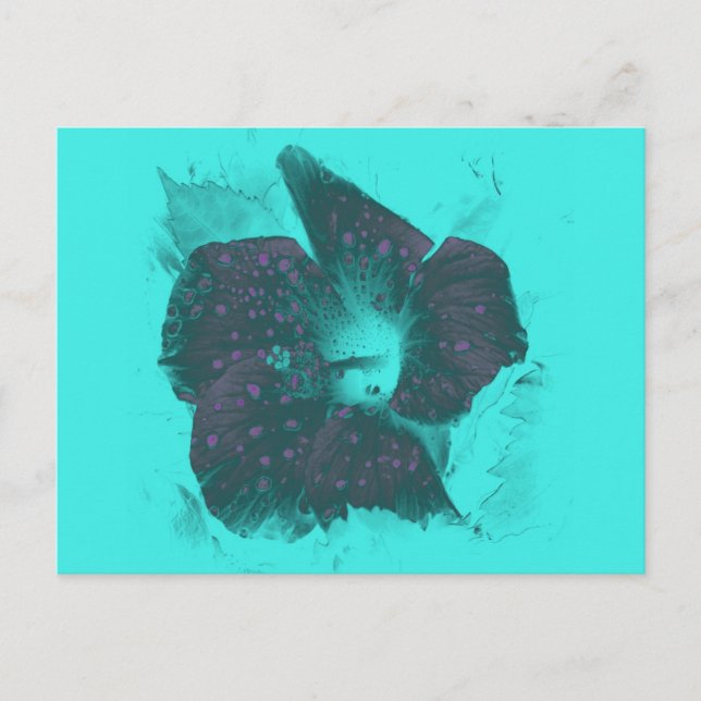 Tricolor Abstract Hibiscus Postcard (Front)