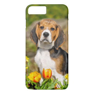 Tricolor Beagle Puppy Cute Portrait, Phonecase iPhone 8 Plus/7 Plus Case