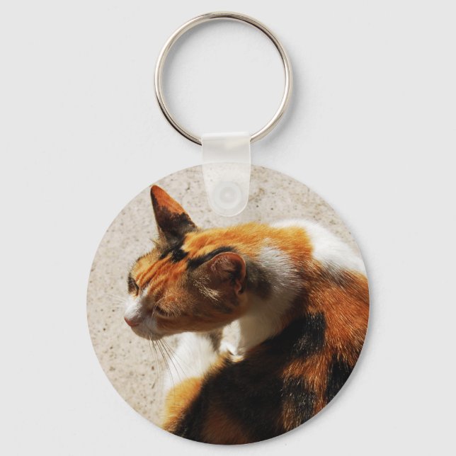 Tricolor Cat Keychain (Front)