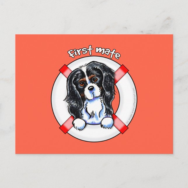 Tricolor Cavalier CKCS First Mate Postcard (Front)