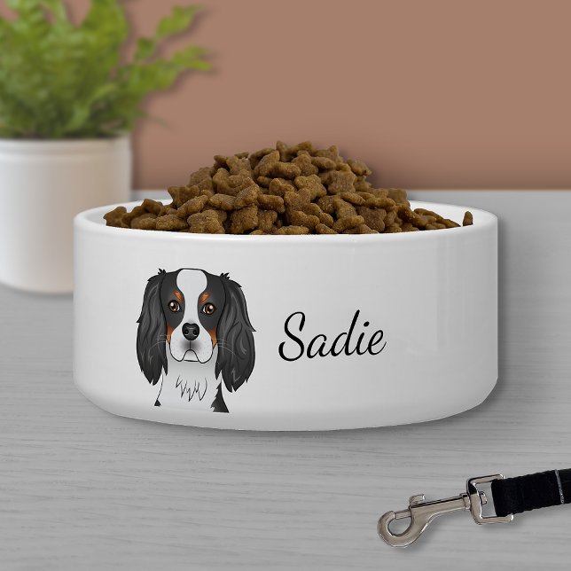 Tricolor Cavalier King Charles Spaniel Dog & Name (Creator Uploaded)