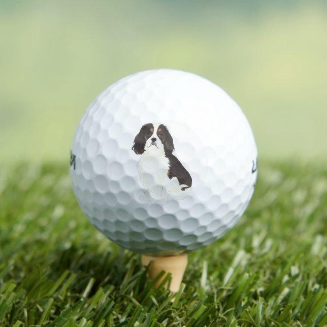 Tricolor Cavalier King Charles Spaniel Golf Balls (Insitu Tee)