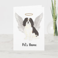 Tricolor Cavalier King Charles Spaniel Sympathy