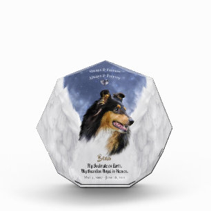Tricolor Collie Angel Portrait - Pet Memorial Photo Block