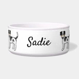 Tricolor Danish-Swedish Farmdog Cute Dog & Name