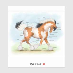 Tricolor Overo Pinto Gypsy Horse Anatomy Chart