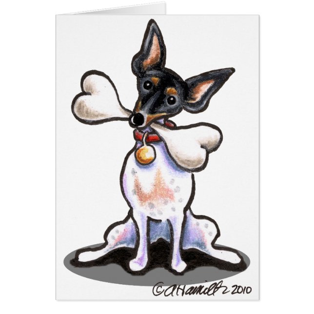 Tricolor Rat Terrier Big Bone (Front)