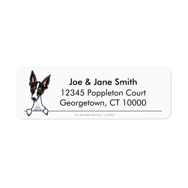 Tricolor Rat Terrier Clean & Simple (Front)