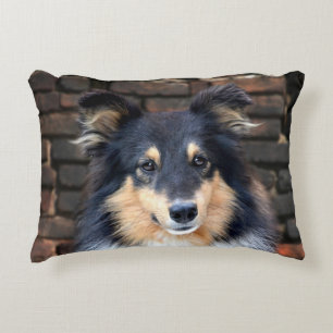 Tricolor Sheltie Accent Pillow