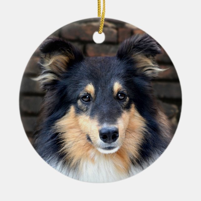 Tricolor Sheltie face Ceramic Ornament (Front)