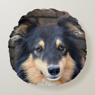 Tricolor Sheltie Round Pillow