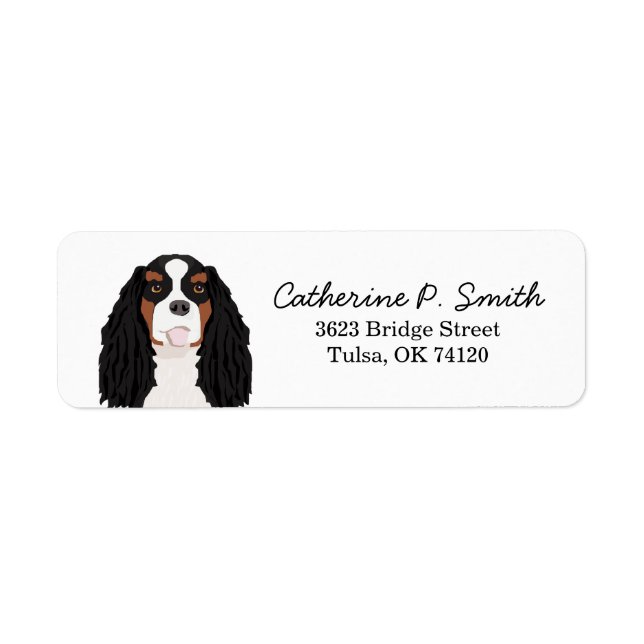 Tricolore Cavalier King Charles Spaniel Retour (Devant)