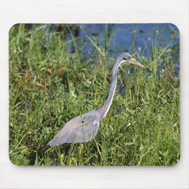 Tricolored Heron Mouse Pad (Front)