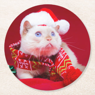 Trident the Cat Coasters