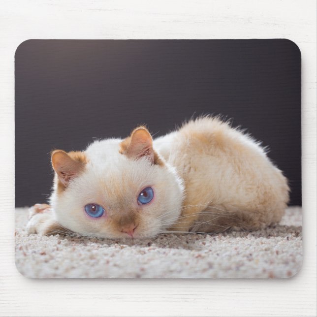 Trident the Cat Mouse Pad 01 (Front)