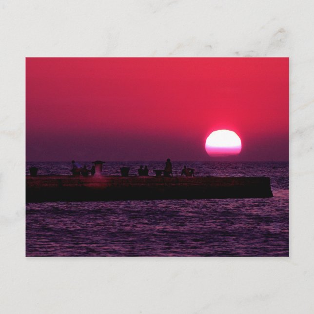 trieste molo audace postcard (Front)