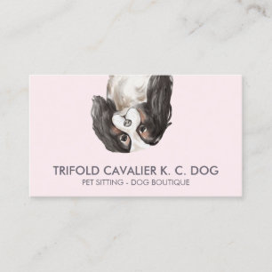 Trifold cavalier king charles dog business card