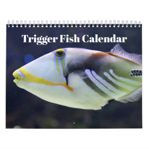Trigger Fish 2026 Calendar