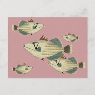 Triggerfish Postcard