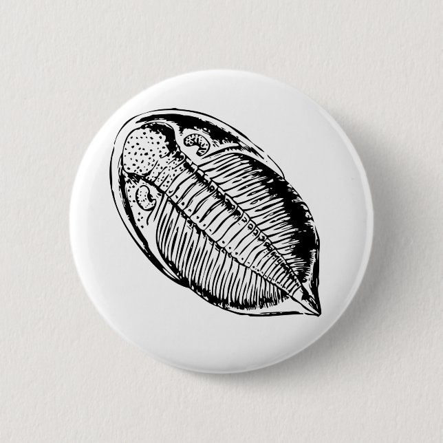 Triliobite fossil 2 inch round button (Front)
