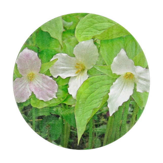 "Trillium" Cutting Board (Front)