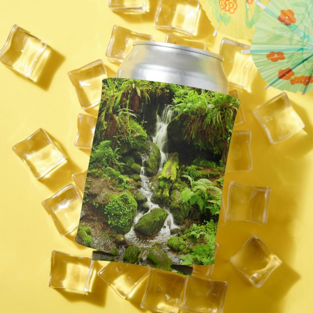 Trillium Falls at Redwood National Park Can Cooler (In Situ Summer)
