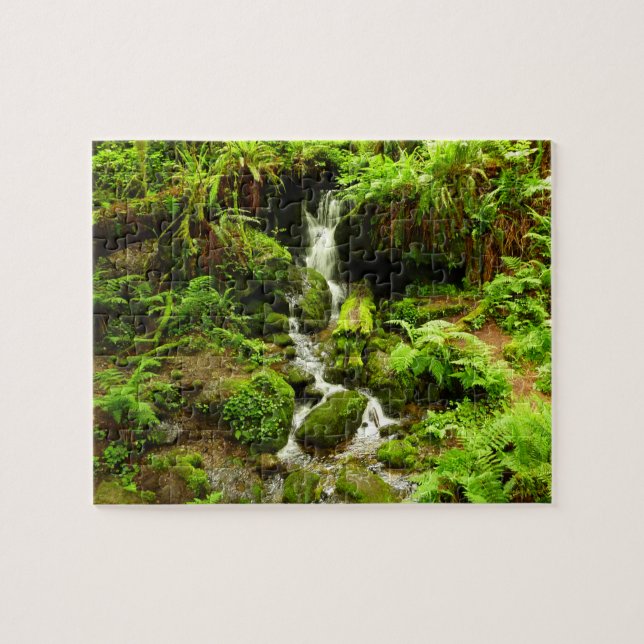 Trillium Falls at Redwood National Park Jigsaw Puzzle (Horizontal)