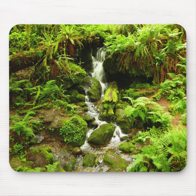 Trillium Falls at Redwood National Park Mouse Pad (Front)