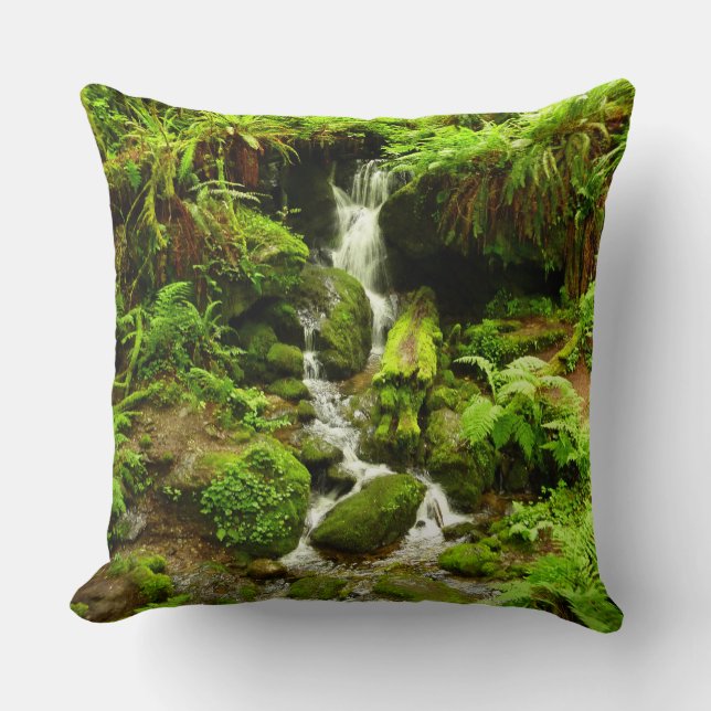 Trillium Falls at Redwood National Park Throw Pillow (Front)
