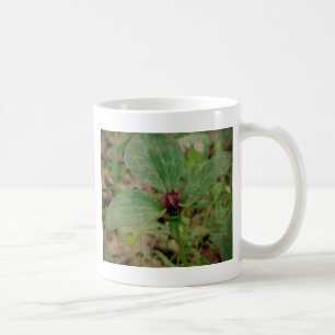 Trillium Flower Coffee Mug