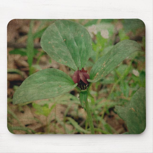 Trillium Flower Mouse Pad (Front)