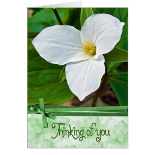 Trillium Flower with Green Ribbon