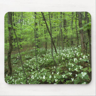 Trillium Heaven Mousepad