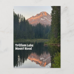 Trillium Lake Mount Hood Sunset Reflections Travel Postcard