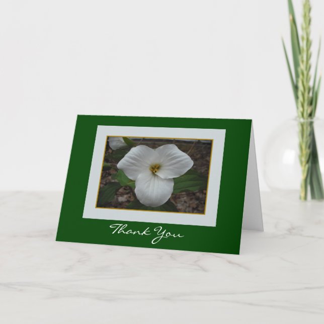 Trillium Merci (Devant)