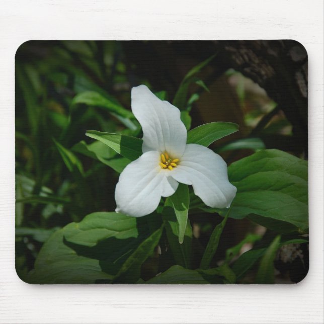 Trillium Mouse Pad (Front)
