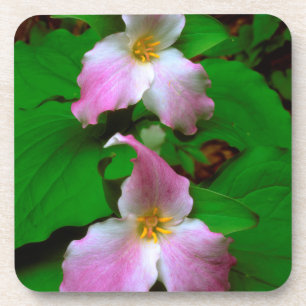 Trillium Wildflower Coaster