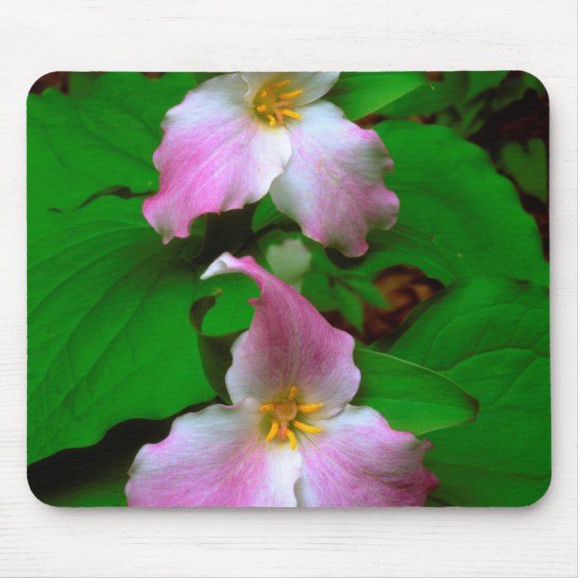 Trillium Wildflower Mouse Pad (Front)